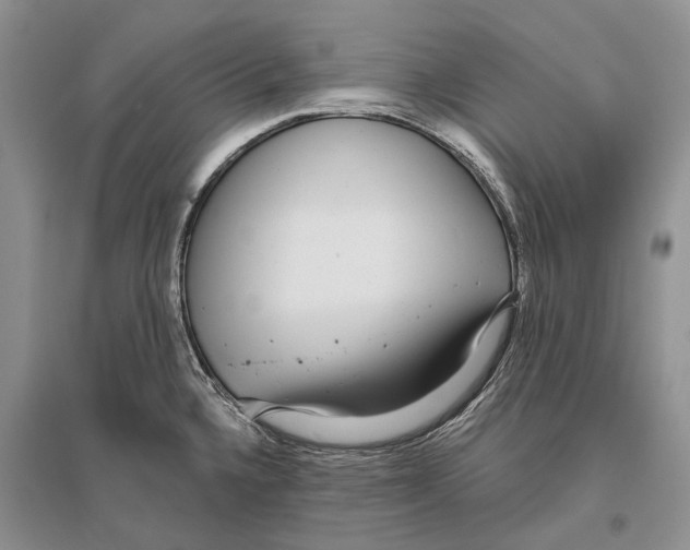 X0000096431336200802211137