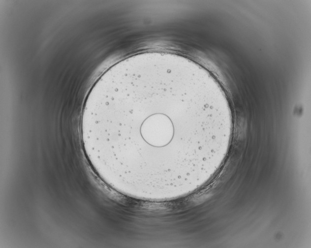 X0000096431338200802211137