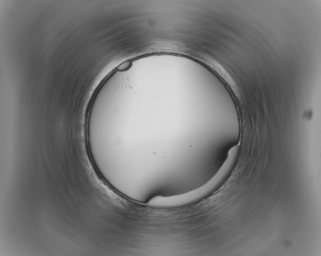 X0000096431339200802211138