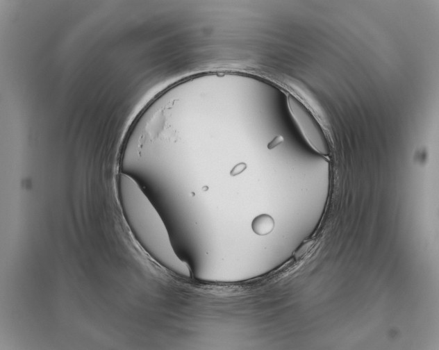 X0000096431340200802211138