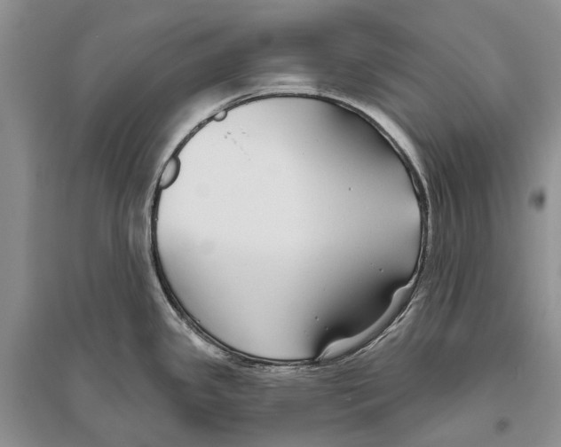 X0000096431341200802211138