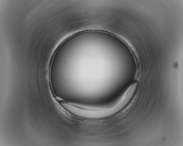 X0000096431342200802211138