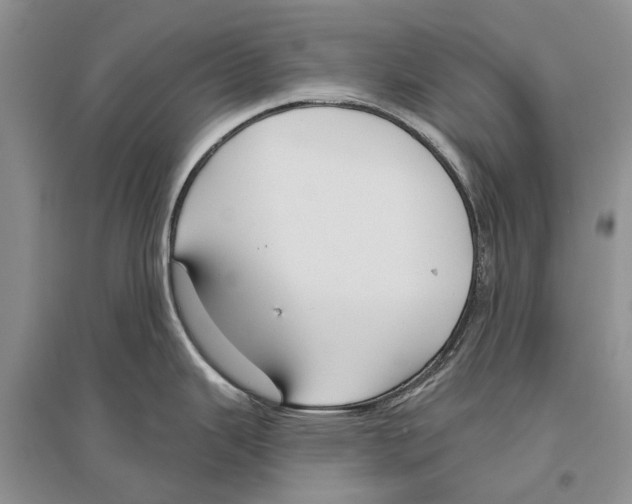X0000096431343200802211138