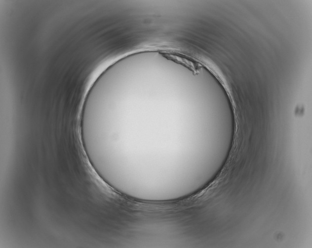 X0000096431344200802211138