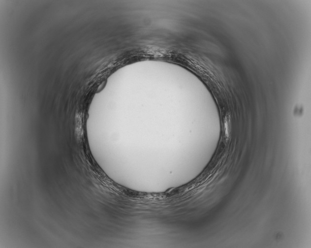 X0000096431347200802211137