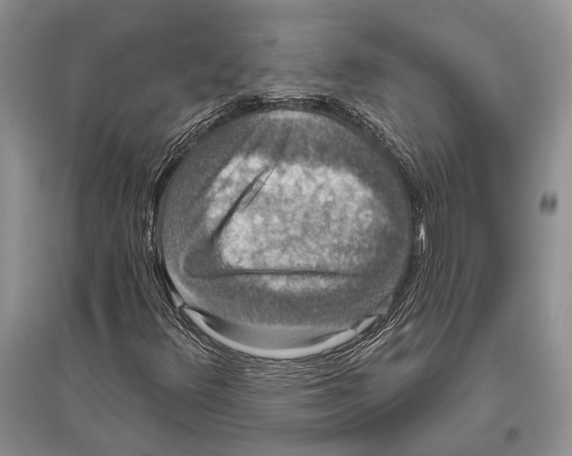 X0000096431348200802211137