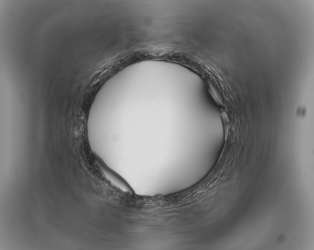 X0000096431349200802211137
