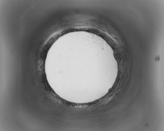 X0000096431351200802211137