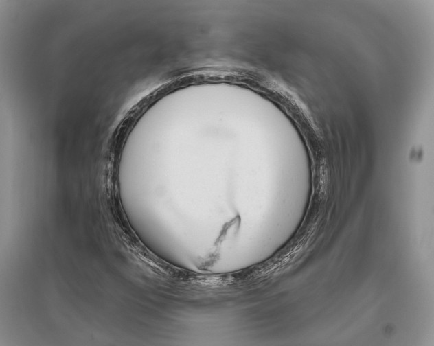 X0000096431352200802211137