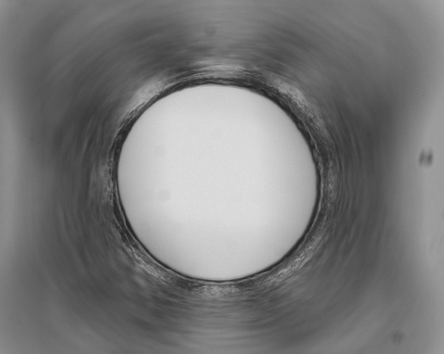 X0000096431354200802211137