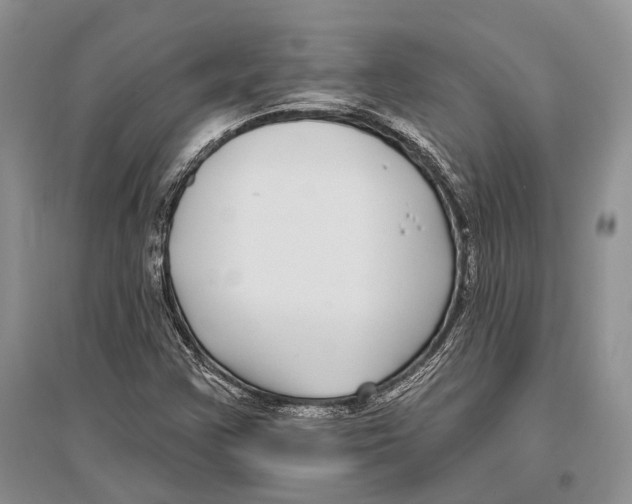 X0000096431355200802211137