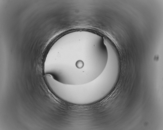 X0000096431356200802211137