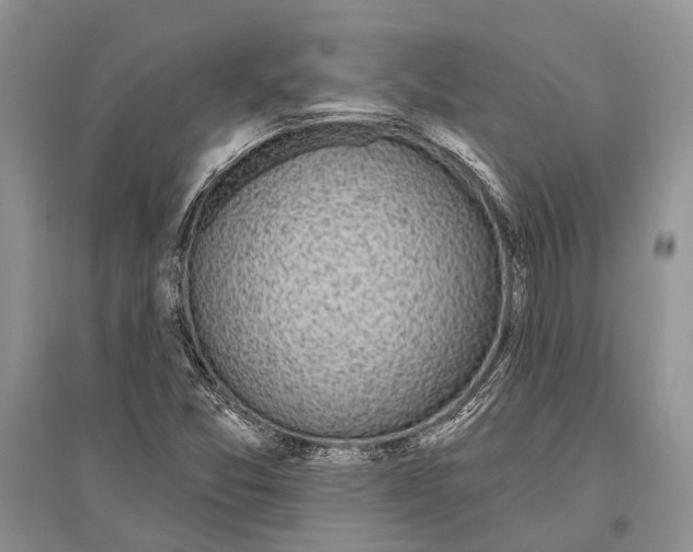 X0000096431357200802211137