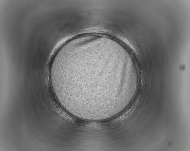 X0000096431358200802211137