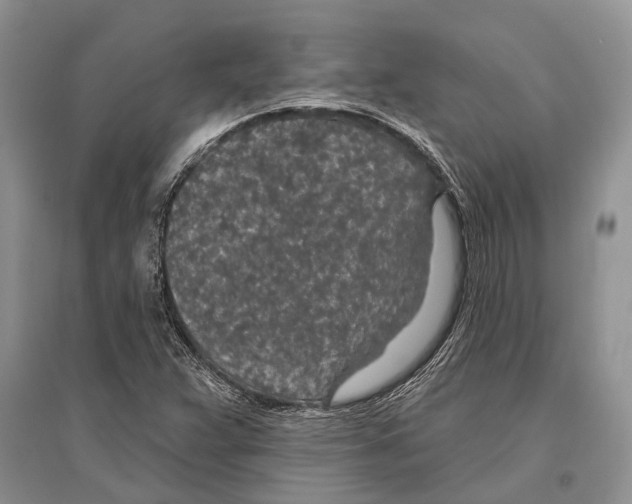 X0000096431359200802211137