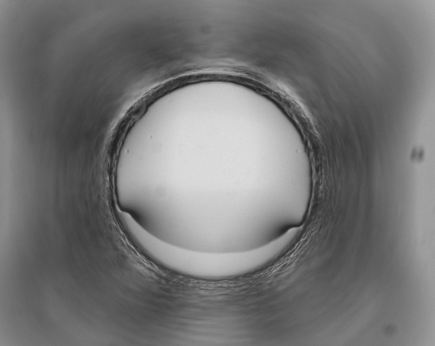 X0000096431360200802211137
