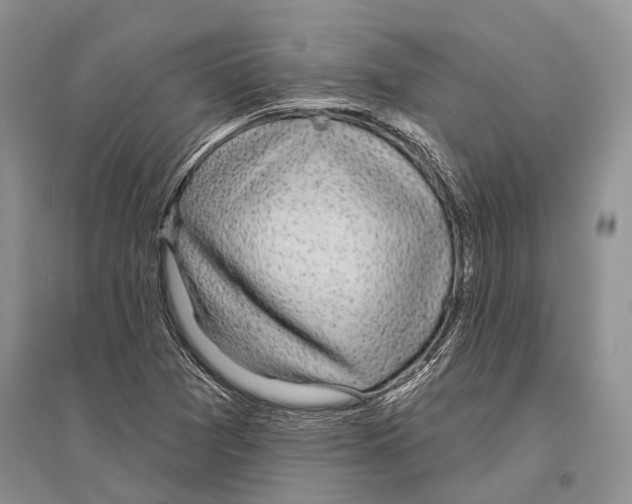 X0000096431361200802211137