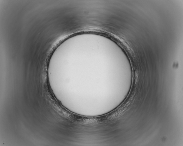 X0000096431363200802211137