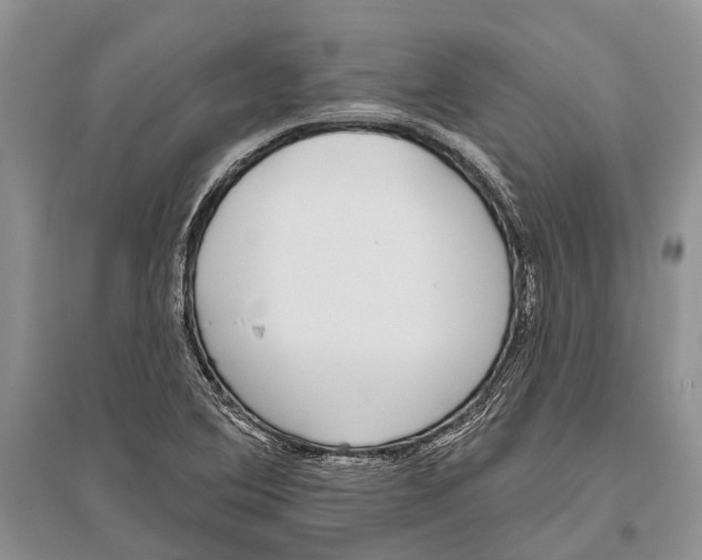X0000096431364200802211137