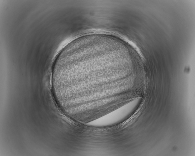 X0000096431365200802211137