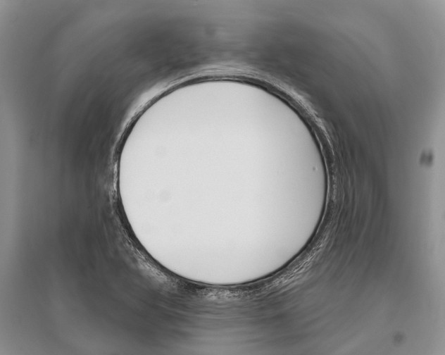 X0000096431366200802211137
