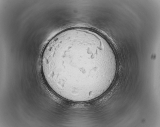 X0000096431367200802211137