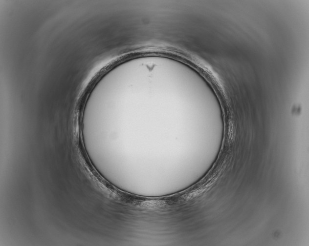 X0000096431368200802211137