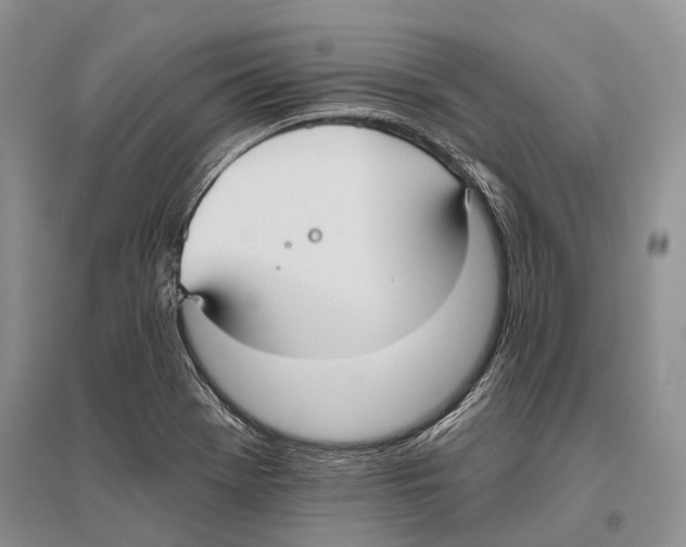 X0000096431369200802211136