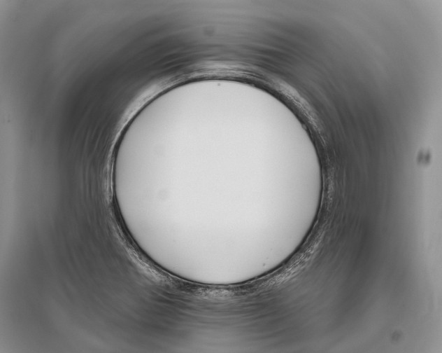 X0000096431370200802211136