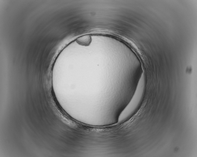 X0000096431371200802211136