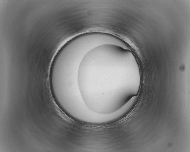 X0000096431372200802211136