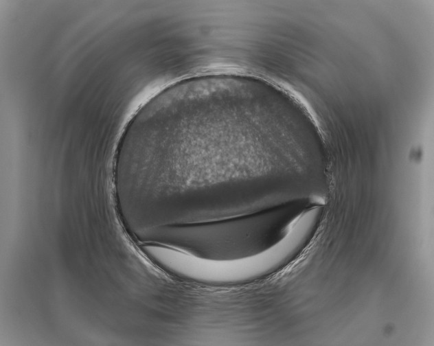 X0000096431373200802211136