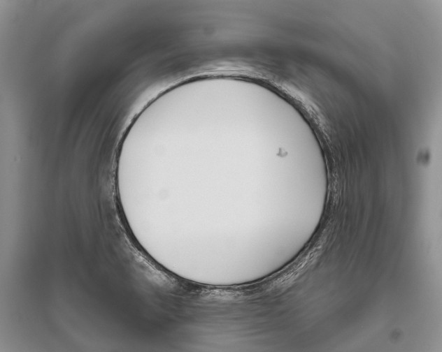 X0000096431374200802211136
