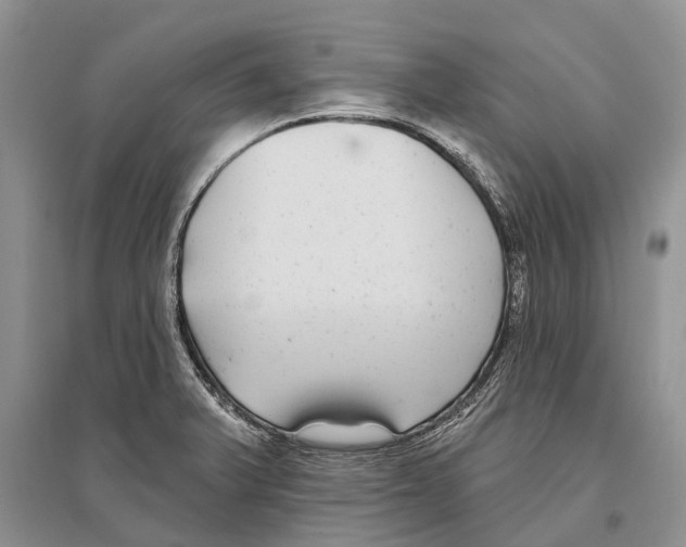X0000096431375200802211136