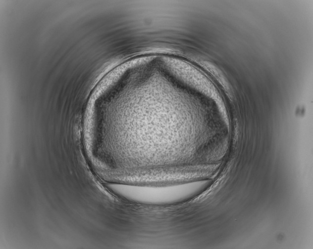X0000096431377200802211136