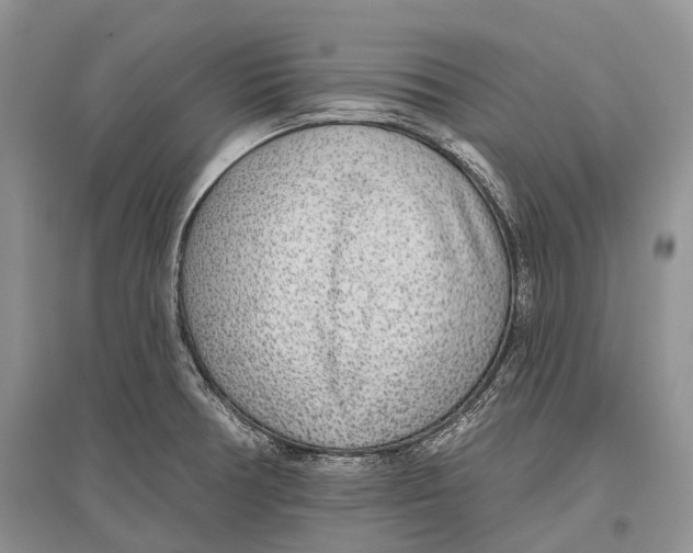 X0000096431378200802211136