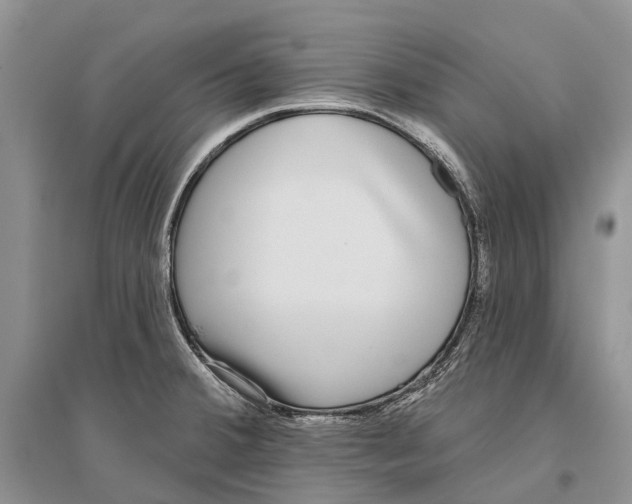 X0000096431380200802211136