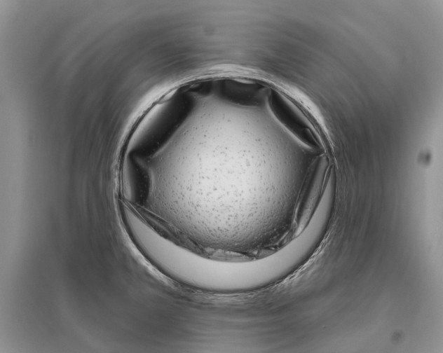 X0000096431381200802211136