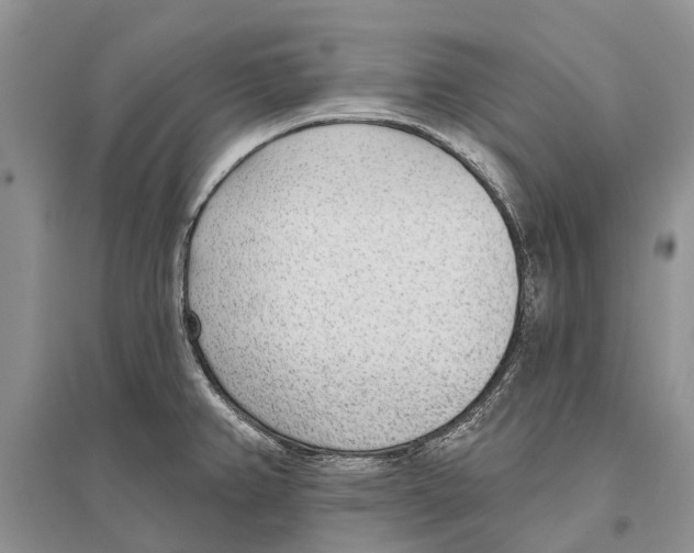 X0000096431382200802211136