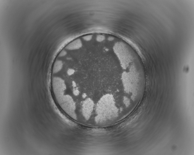 X0000096431383200802211136