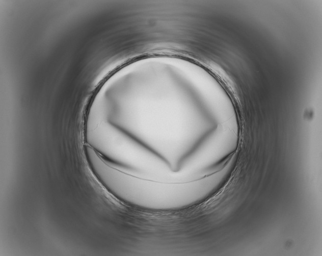 X0000096431384200802211136