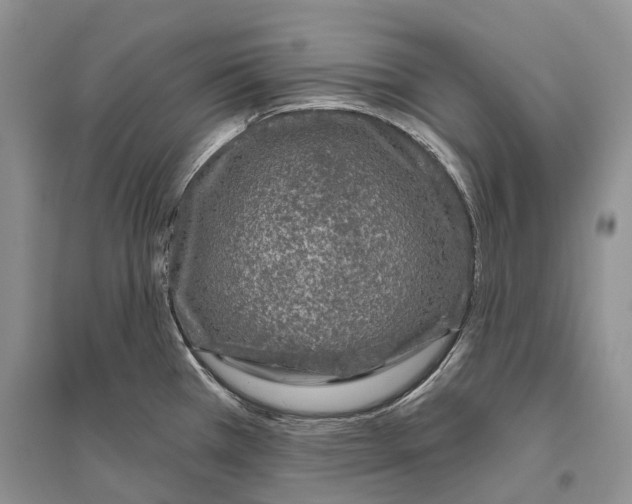 X0000096431385200802211136
