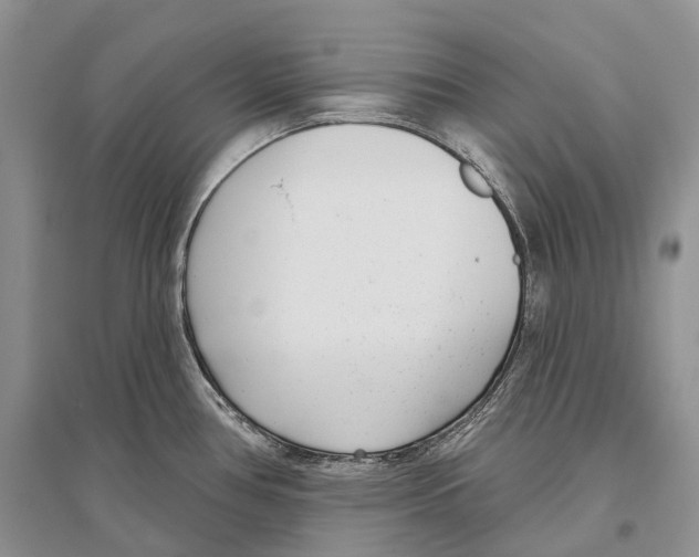 X0000096431386200802211136