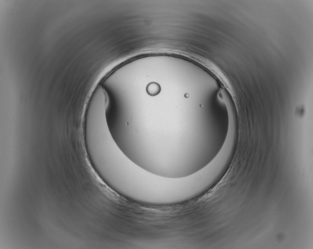X0000096431388200802211136