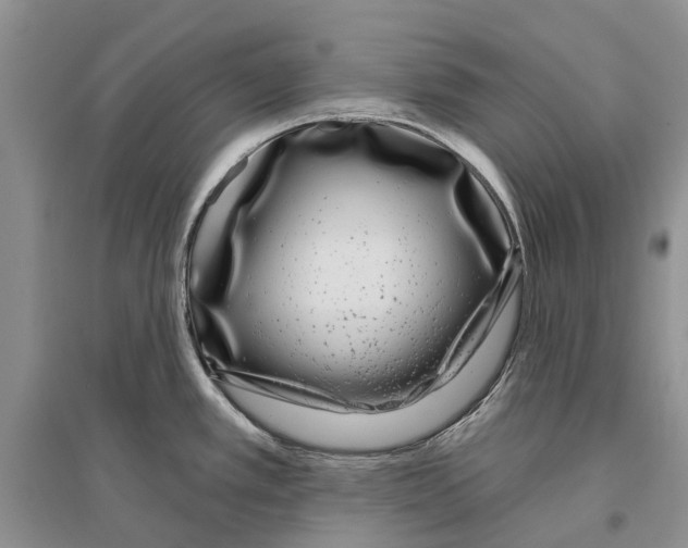 X0000096431389200802211136