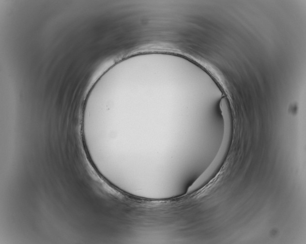 X0000096431390200802211136
