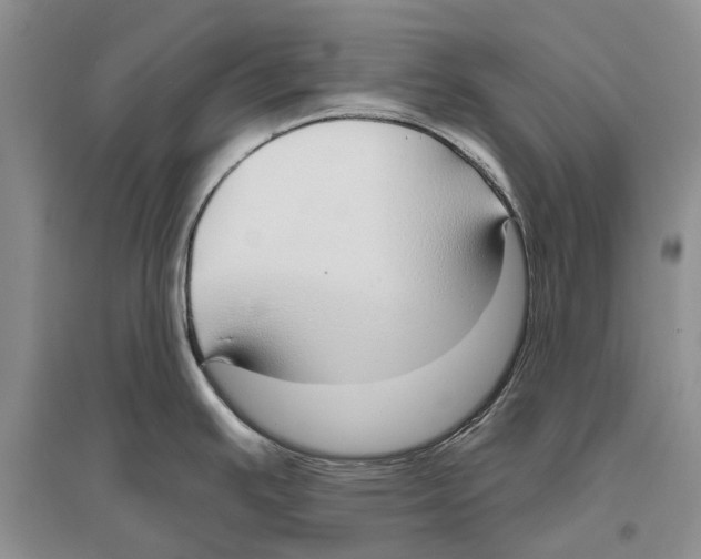 X0000096431391200802211136