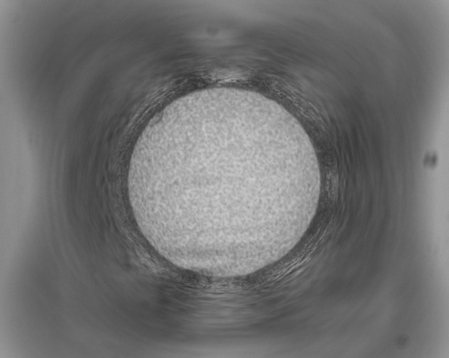 X0000096431393200802211135