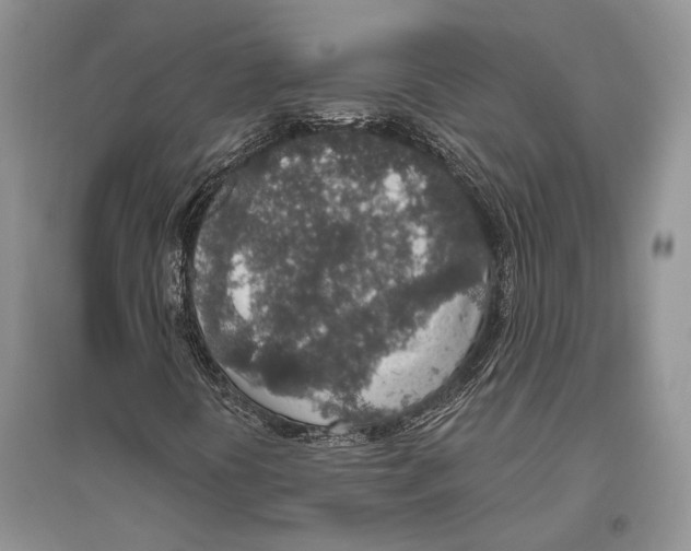 X0000096431394200802211135