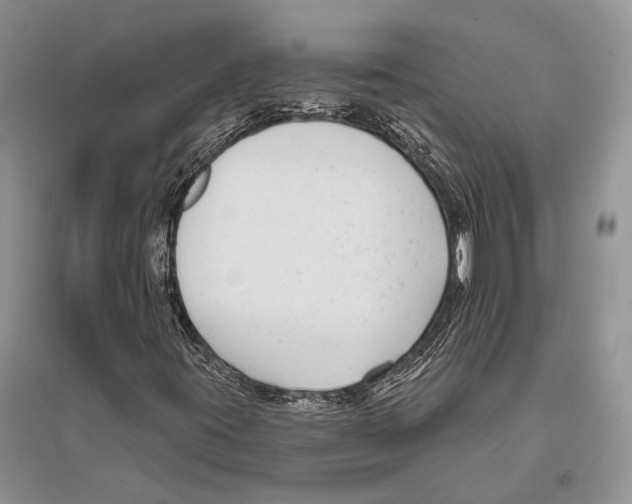 X0000096431395200802211135